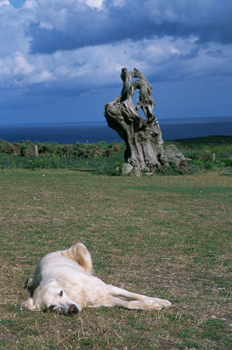Estaca de Bares, Mañón, La Coruña, Galicia