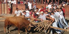 Capea raiana, Concejo de Sabugal, Portugal