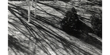 Fotografía artísica de sombras proyectadas en el suelo