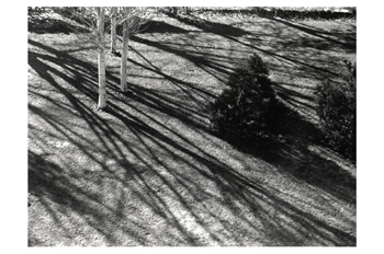 Fotografía artísica de sombras proyectadas en el suelo