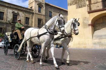 Coche de caballos en el casco histórico de Córdoba, Andalucía