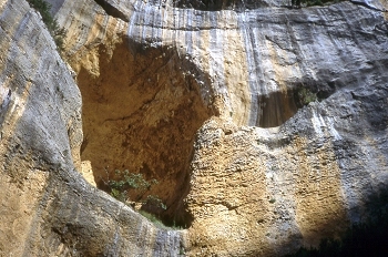 Detalle de cueva en roca