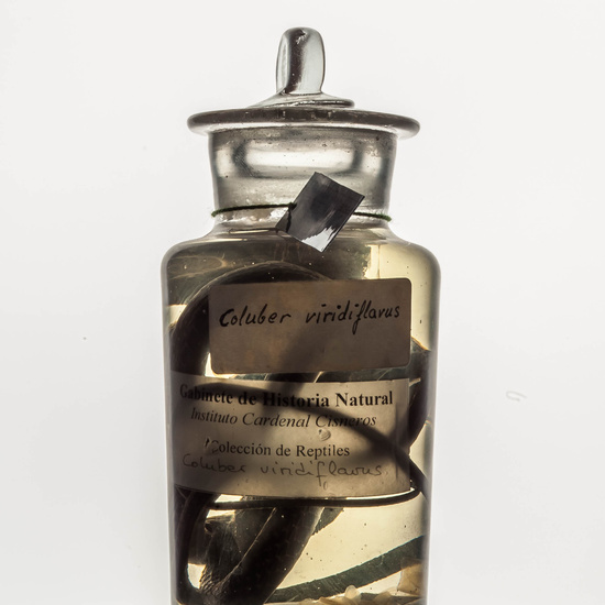 IES_CARDENALCISNEROS_CIENCIASNATURALES_270