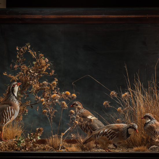 IES_SANISIDRO_BIOLOGIA_148