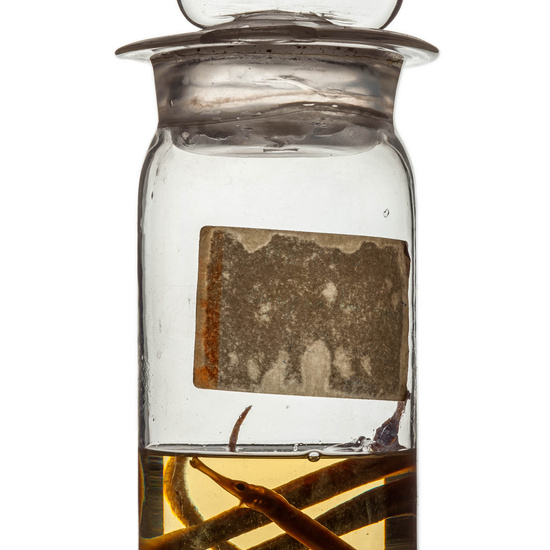 IES_RAMIRODEMAEZTU_BIOLOGIA_085