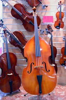 Violonchelo