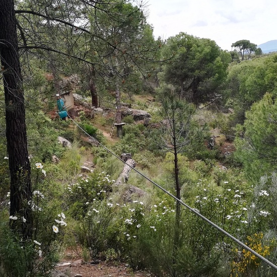 MULTIAVENTURA 5º  y  6º EP MAYO 2018 42