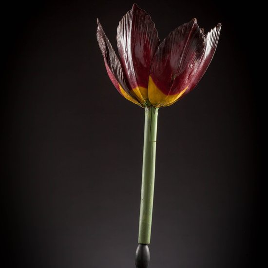 IES_CARDENALCISNEROS_BOTÁNICA_III_MODELOS_027