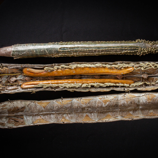 IES_SANISIDRO_MUSEO_Zoolgía_019