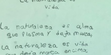 Vídeo Poema 12