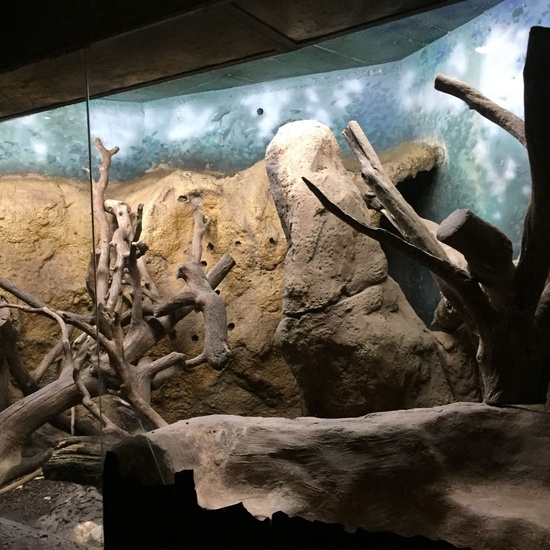 Faunia: taller y visita guiada 20