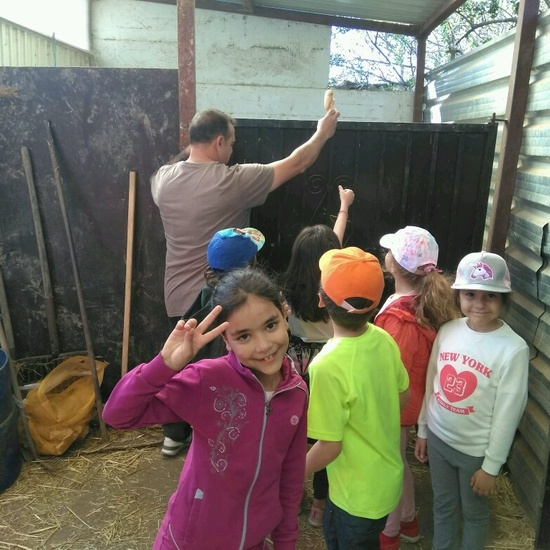 SALIDA NATURALEZA 17