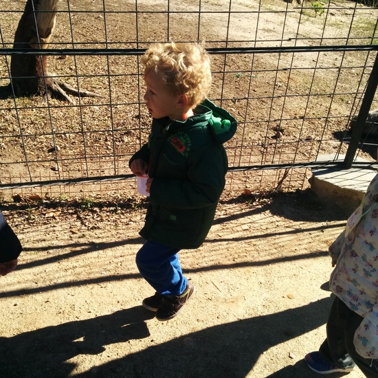 2016_inf 4 años a visita la granja 21