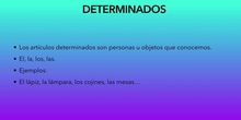 DETERMINANTES ARTÍCULOS