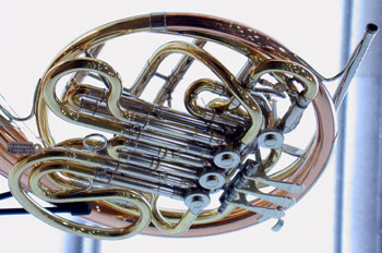 Detalle de una trompa