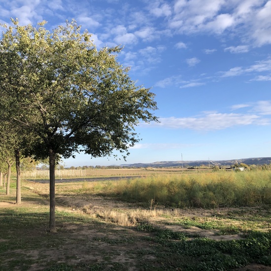 Albergue 6º - 1º día (tarde) 5