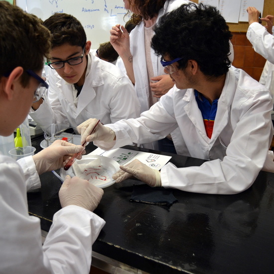 Proyecto de Aprendizaje y Servicio  7