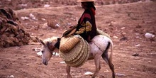 Mujer dirigiéndose en burro al mercado de Suq al Khamis, Yemen
