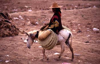 Mujer dirigiéndose en burro al mercado de Suq al Khamis, Yemen