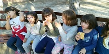 Granja Escuela 1º y 2º EP 2017-18_24 19