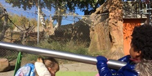 Excursión al zoo 5 años, 1º y 2º Luis Bello 27
