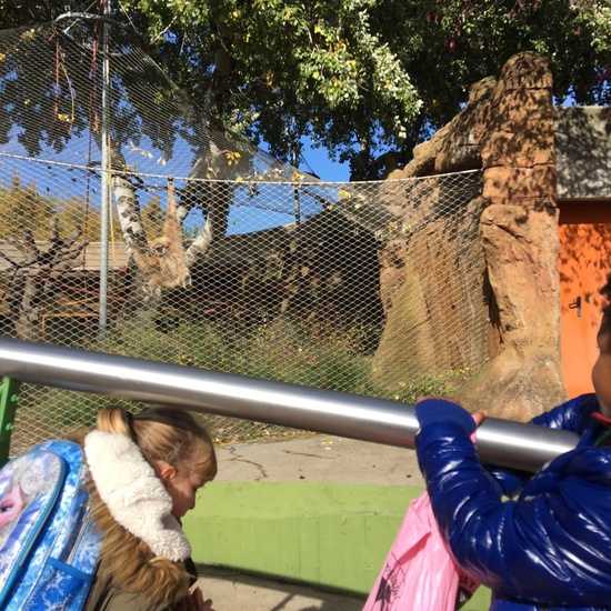 Excursión al zoo 5 años, 1º y 2º Luis Bello 27