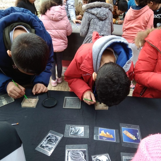 IES_ISABELLACATOLICA_GEOLOGIA_020