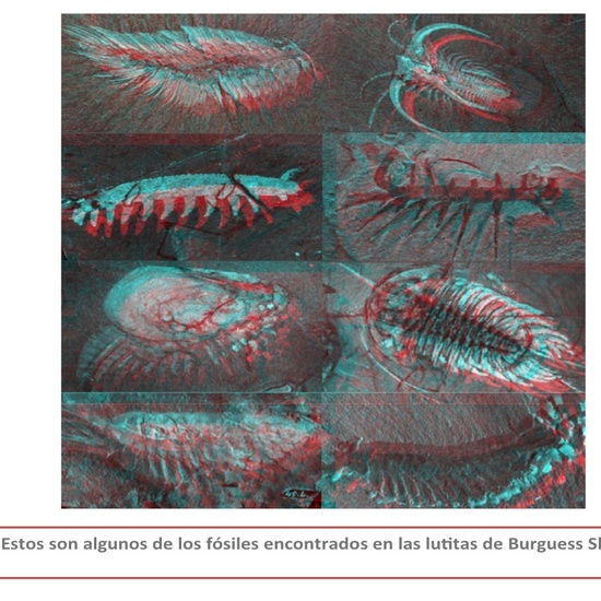 Maravillas Naturales 3D 18