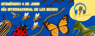 Radio Caminantes. Efemérides 4 de junio: Día Internacional de los Bichos