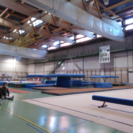 Gimnasia de trampolín 14