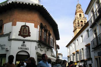 Barrio de la Judería y Torre  de la Mezquita-Catedral, córdoba,