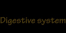 Digestive system