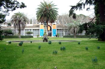 Real Jardín Botánico, Madrid