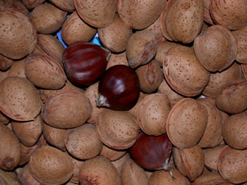 Frutos secos (castañas; almendras)