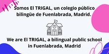 TODO SOBRE CEIP EL TRIGAL