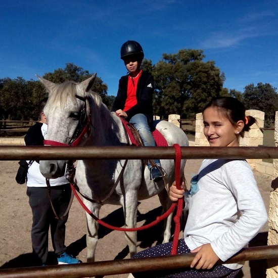 Moheranado 2017_24oct 6