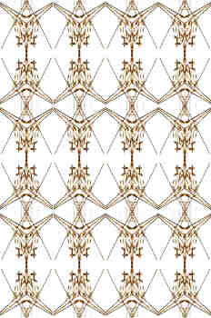 Distorsión de la serie y repetición