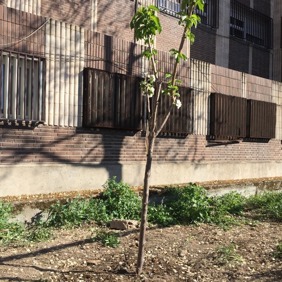 El año hortelano de 4º B 37