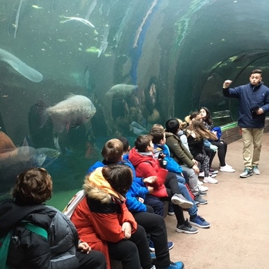 Parque de la Naturaleza. Faunia. 5º Curso. 11