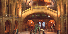 Interior de la sala principal del Museo Nacional de Historia Nat
