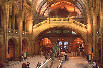 Interior de la sala principal del Museo Nacional de Historia Nat