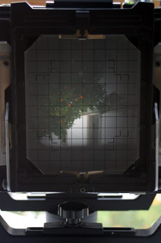 Visor esmerilado de cámara de galería 9x12