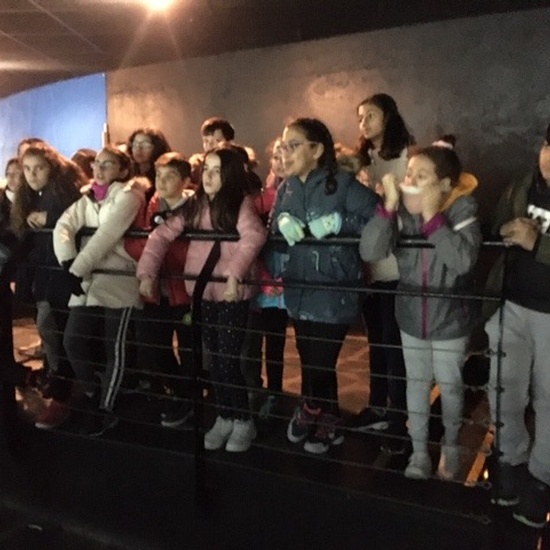 Parque de la Naturaleza. Faunia. 5º Curso. 24