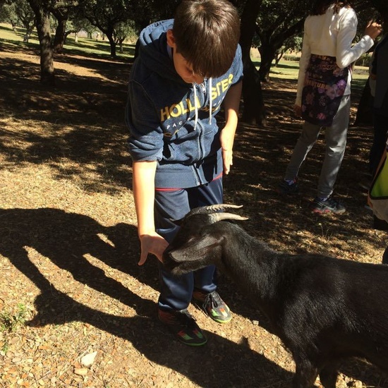 Mohernando 2017_3 32