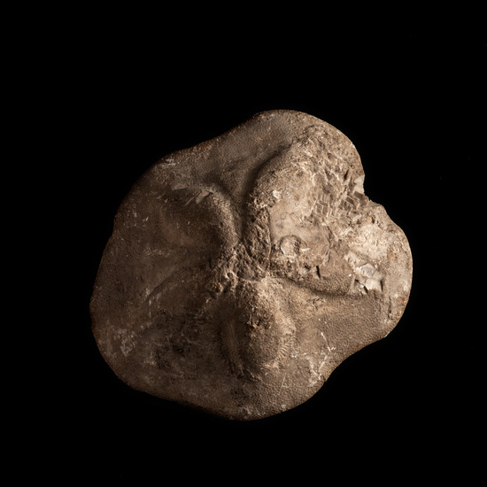 IES_CERVANTES_GEOLOGIA_023