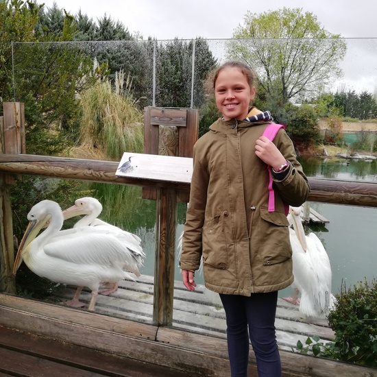 FAUNIA. 5º curso 15