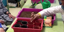VIDEO 3: ELABORACIÓN DE UN SEMILLERO