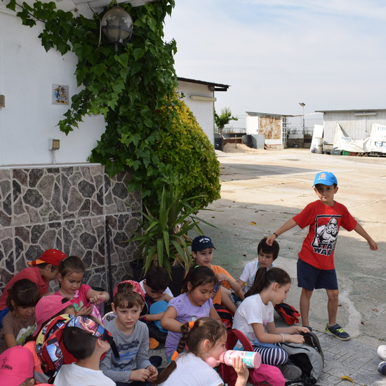 Siembra Huerta Balta 5 años 2018 9