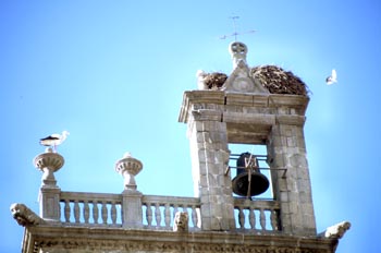 Espadaña - Brozas, Cáceres