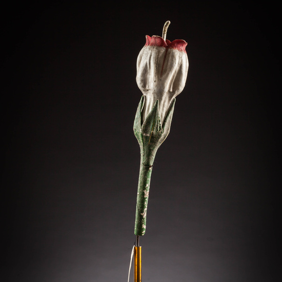 IES_SANISIDRO_MUSEO_Botanica_029